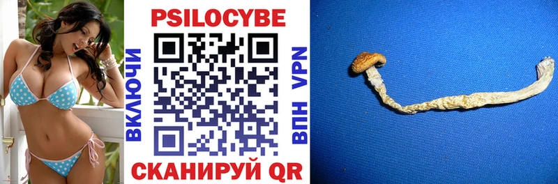 Галлюциногенные грибы Cubensis  Купить  Кувандык 